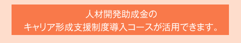 人材開発助成金のキャリア形成支援制度導入コースが活用できます。