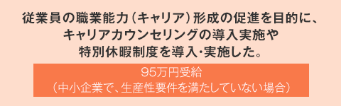 従業員の職業能力（キャリア）形成の促進を目的に、キャリアカウンセリングの導入実施や特別休暇制度を導入・実施した。 95万円受給（中小企業で、生産性要件を満たしていない場合）